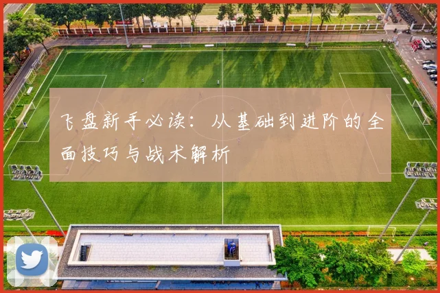 飞盘新手必读：从基础到进阶的全面技巧与战术解析