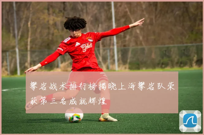 攀岩战术排行榜揭晓上海攀岩队荣获第三名成就辉煌